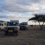 Trabajando en la garganta de Olduvai (Serengeti, Tanzania)